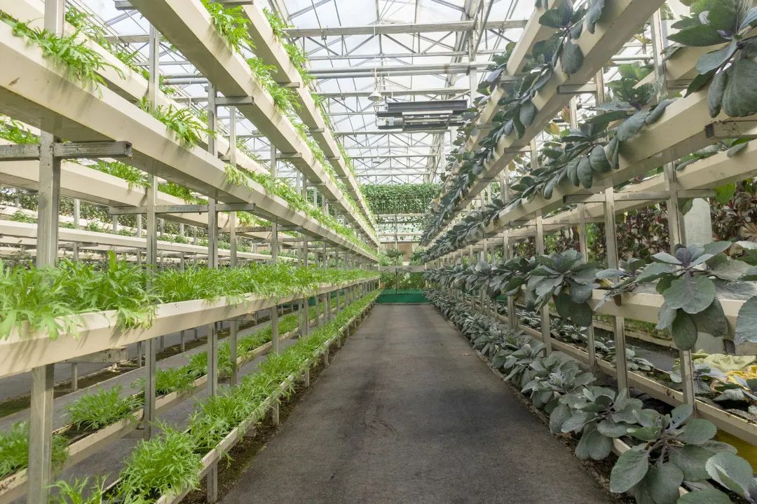 1620873972135752.jpg 1.jpg