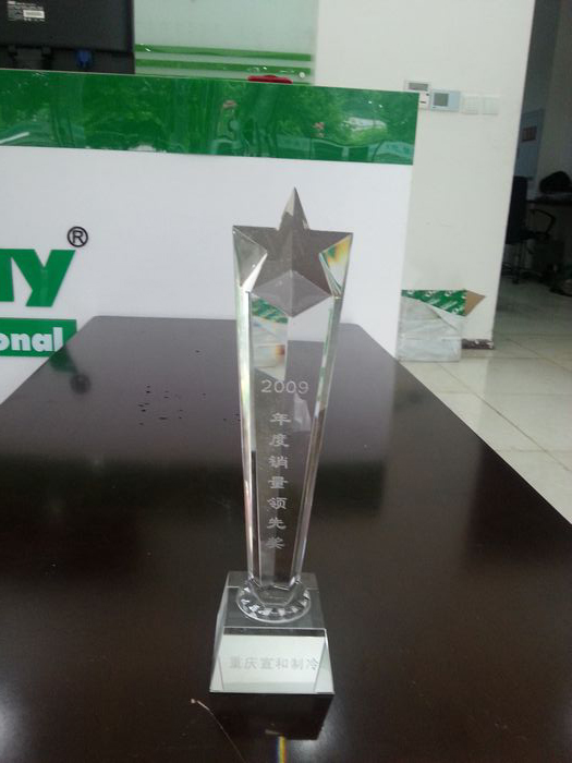 2009年度銷量領(lǐng)先獎(jiǎng)